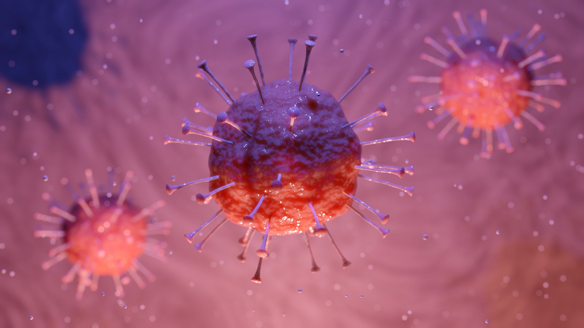 Did the Corona virus just trigger a bear market?